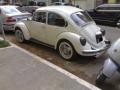 beetle14_t1.jpg