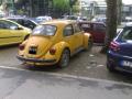 beetle02_t1.jpg