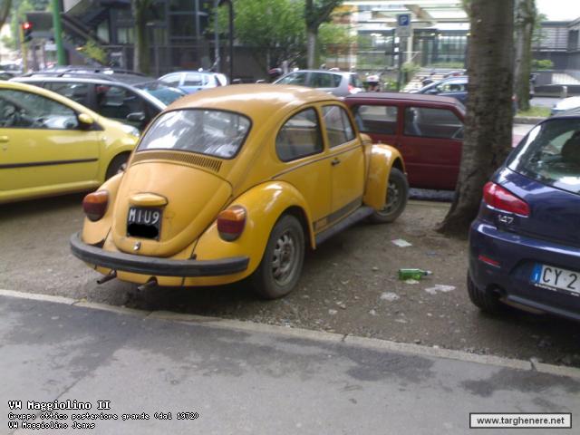 beetle02.jpg