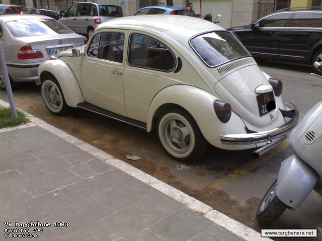 beetle14.jpg