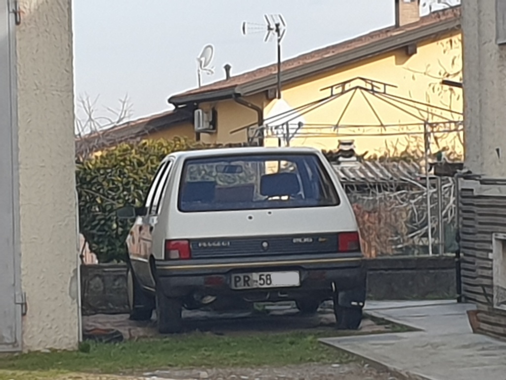 167_1991_peugeot_205_11_color_line_li_fileminimizer.jpg
