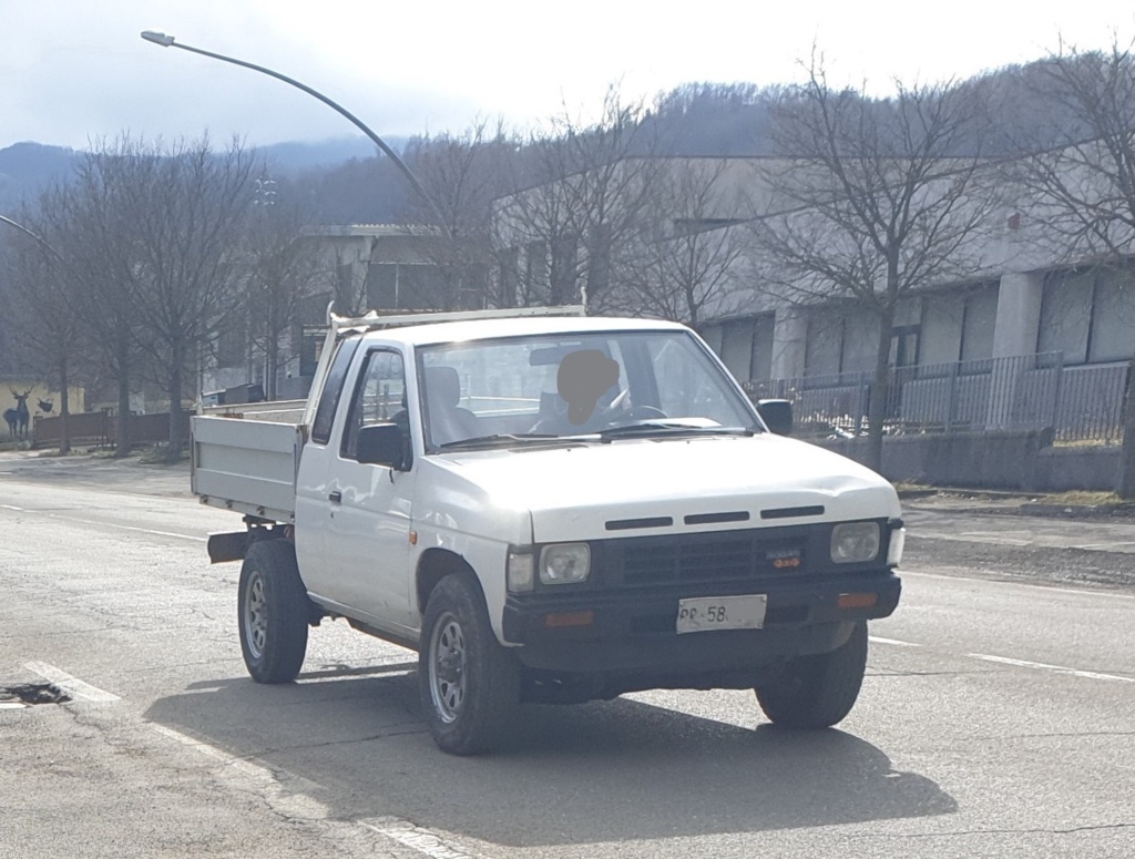 272_1988_nissan_pick-up_king_cab_4x4_td25_2p_cassonato_2_fileminimizer.jpg