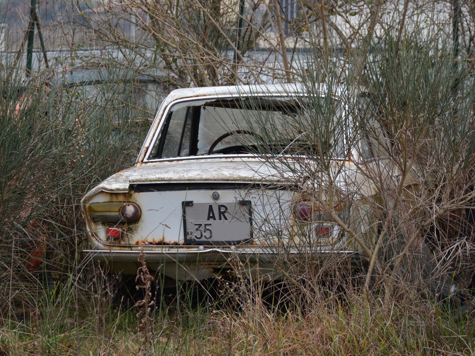 ar35_fulvia.jpeg