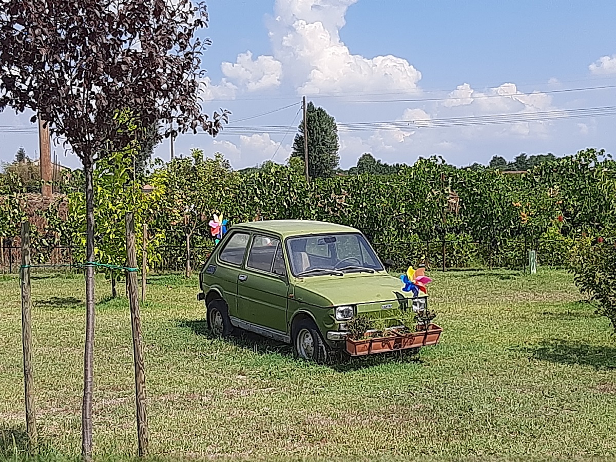 fiat_126_fronte.jpg