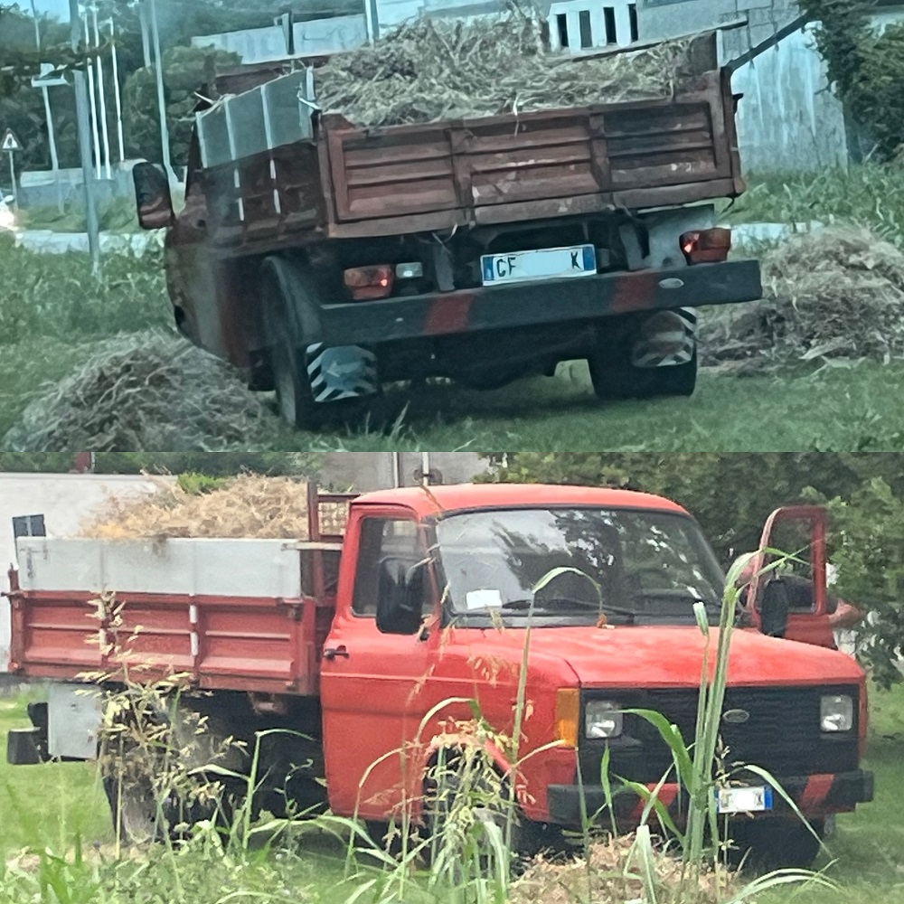ivtt8816.jpg