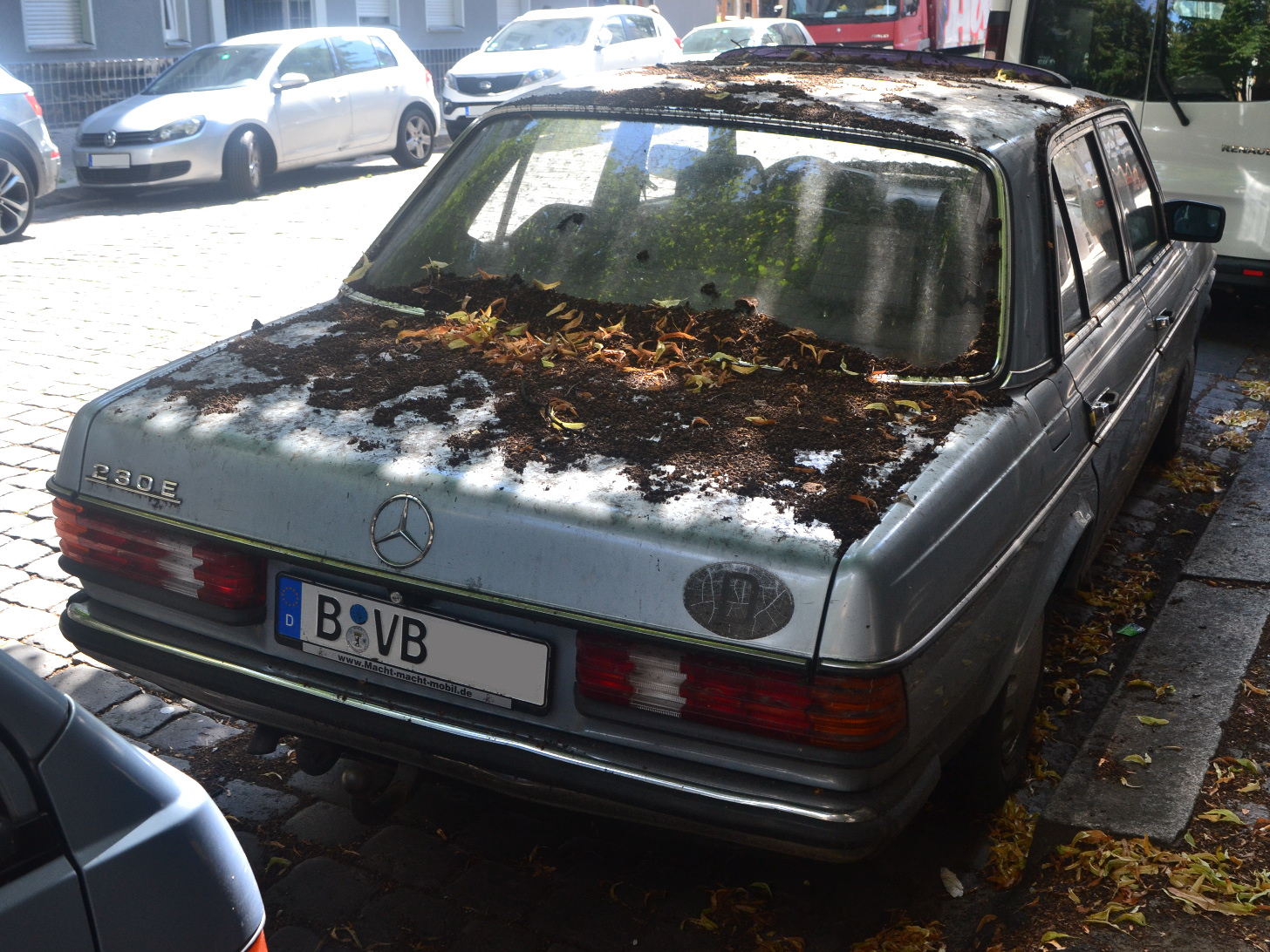 mercedes_w123_230e_d_bvb_f01_cr3.jpg