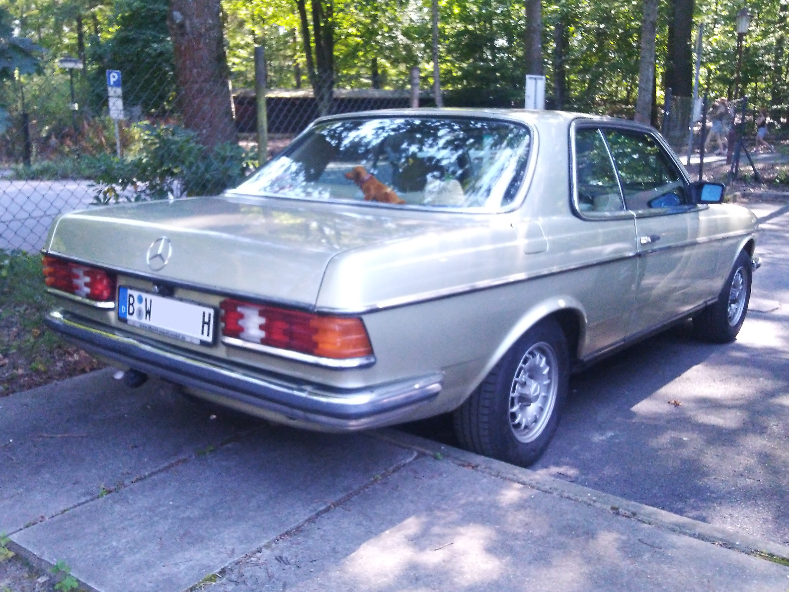 mercedes_w123_230e_d_bwh_f01_cr3.jpg