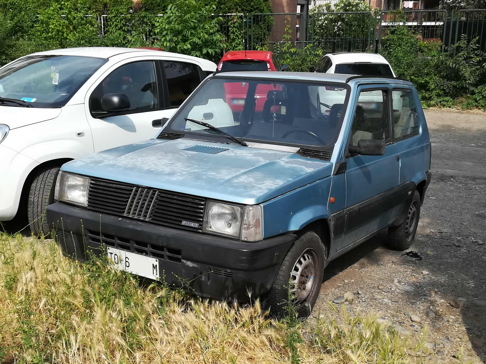 panda1000sa.jpg