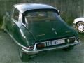 ds20pallastar92neim_t1.jpg