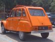 citroendyanetonymura20210629_t1.jpg