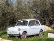 Autobianchi Bianchina 4 posti bianchinafrabo20190316_t1.jpg