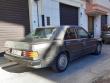 mercedes190astrale20201208_t1.jpg