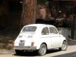 fiat500polar20210511_t1.jpg