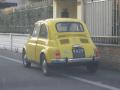 500giallatava_t1.jpg