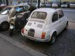 500lbio702_t1.jpg