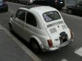 500ldaniptra79_t1.jpg