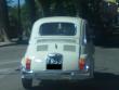 fiat500alpiman20130723_t1.jpg
