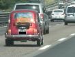 fiat500danip20130629_t1.jpg