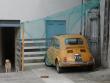 fiat500gabford20220523_t1.jpg