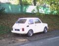126an79fiestalex_t1.jpg