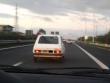 fiat127faby20140201_t1.jpg