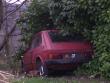 fiat127mc12720160221_t1.jpg