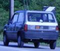 panda30clluca85_t1.jpg