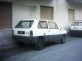 panda30peppe_t1.jpg