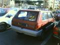 panda30sbue84_t1.jpg