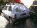 panda45romapafer_t1.jpg