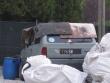 panda4x4iorio2_t1.jpg