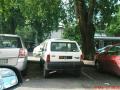 panda4x4s4_t1.jpg