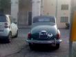 topolinofrancesco7820140414_t1.jpg