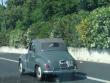 topolinofrancesco7820150624_t1.jpg