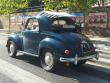 topolinorobex20121208_t1.jpg
