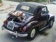 topolinosiralec20160206_t1.jpg