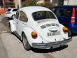 maggiolinoargiuliasuper20250312_t1.jpg