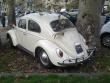 VW Maggiolino 6V (Album: VW Maggiolino 6V)
