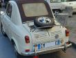 acmavespaargiuliasuper20200315_t1.jpg