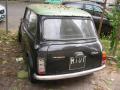 mini1001bio73_t1.jpg