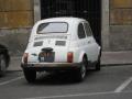 500lbiancasvata_t1.jpg