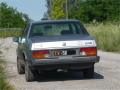 alfetta16neim84_t1.jpg
