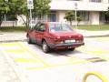 Alfa Romeo Alfetta 2.4 TD alfetta24tdpalmito_t1.jpg