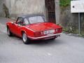 spitcuccia_t1.jpg
