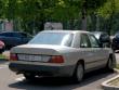 mercedesw124polar20220507_t1.jpg