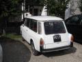 Autobianchi Bianchina Panoramica bianchinapanoioriove_t1.jpg