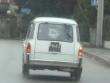 Autobianchi Bianchina Panoramica bianchinapanoramicasampei20150213_t1.jpg