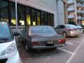 130coupe73dedo_t1.jpg