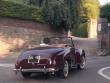 fiat1100ecabrioletmikewolmots20181014_t1.jpg