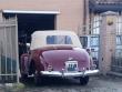fiat1100stellaalpinaluka9620240508_t1.jpg